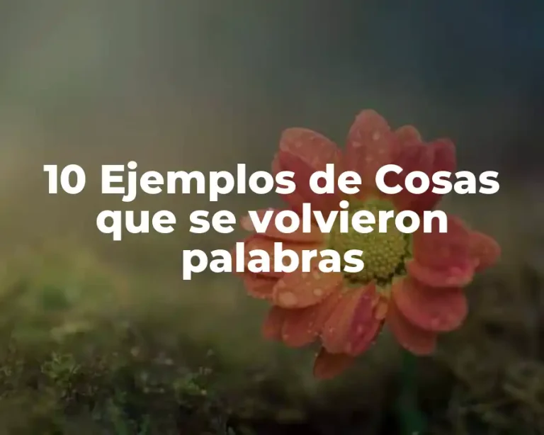 10 Ejemplos de Cosas que se volvieron palabras