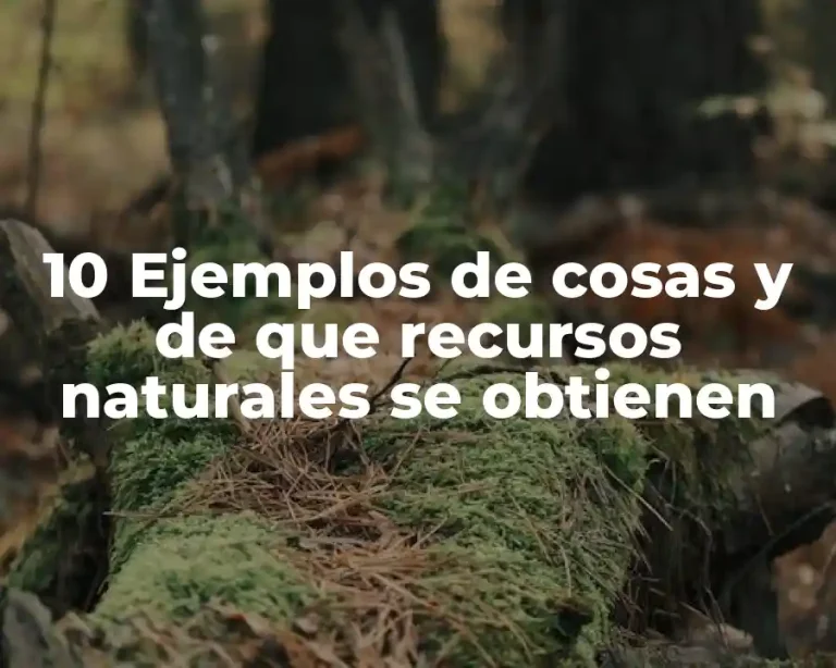 10 Ejemplos de cosas y de que recursos naturales se obtienen