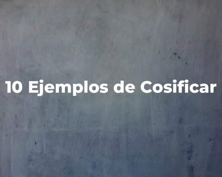 10 Ejemplos de Cosificar