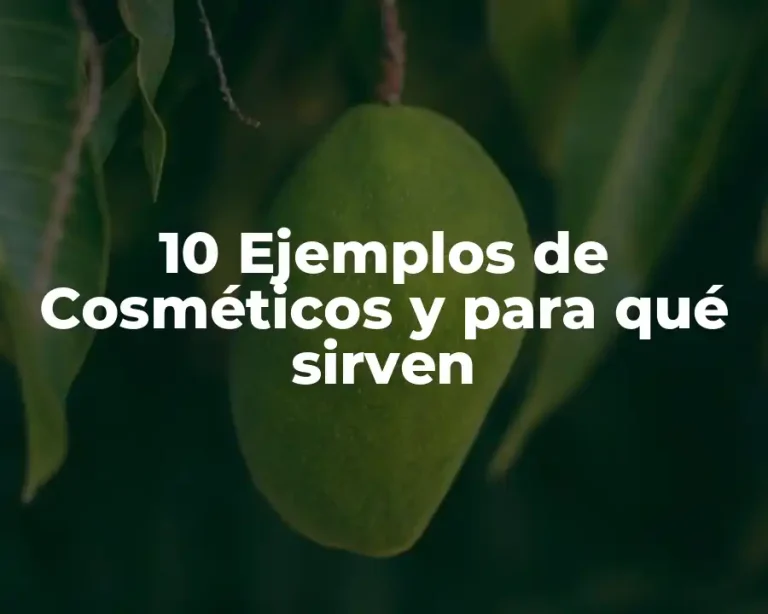 10 Ejemplos de Cosméticos y para qué sirven