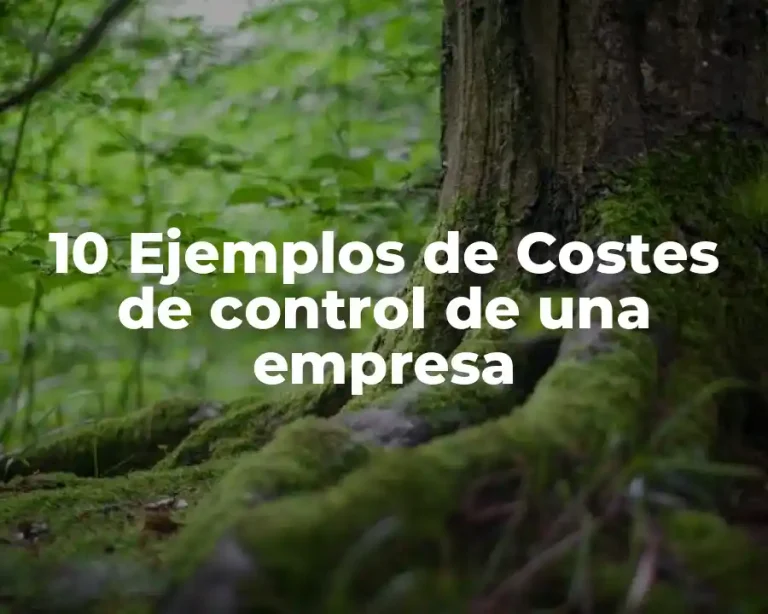10 Ejemplos de Costes de control de una empresa