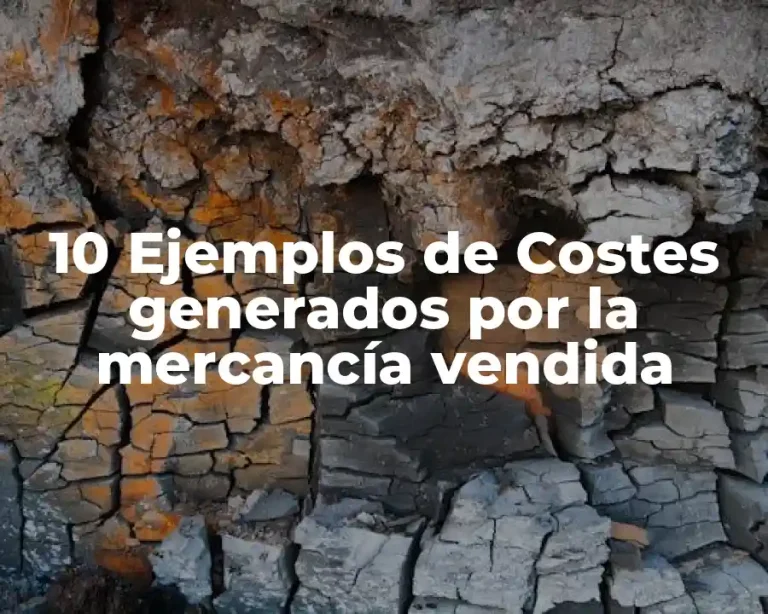 10 Ejemplos de Costes generados por la mercancía vendida