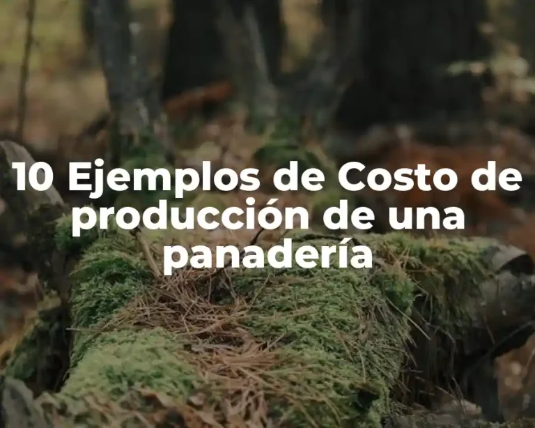 10 Ejemplos de Costo de producción de una panadería