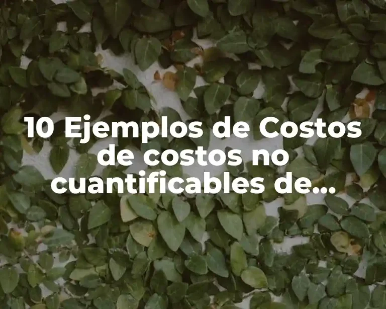 10 Ejemplos de Costos de costos no cuantificables de calidad