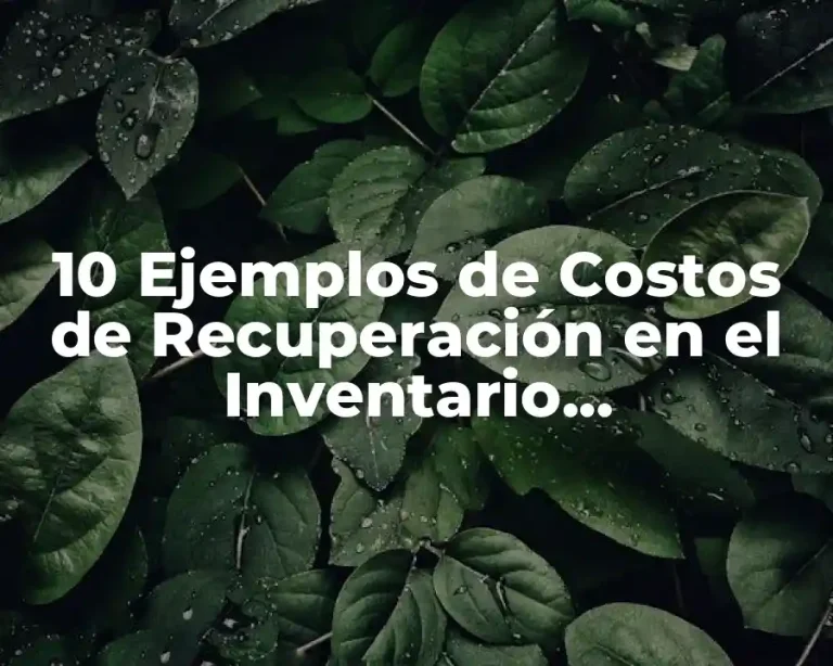 10 Ejemplos de Costos de Recuperación en el Inventario Probabilístico