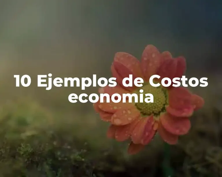10 Ejemplos de Costos economia