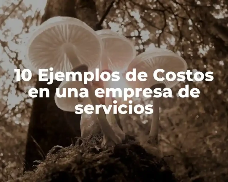 10 Ejemplos de Costos en una empresa de servicios