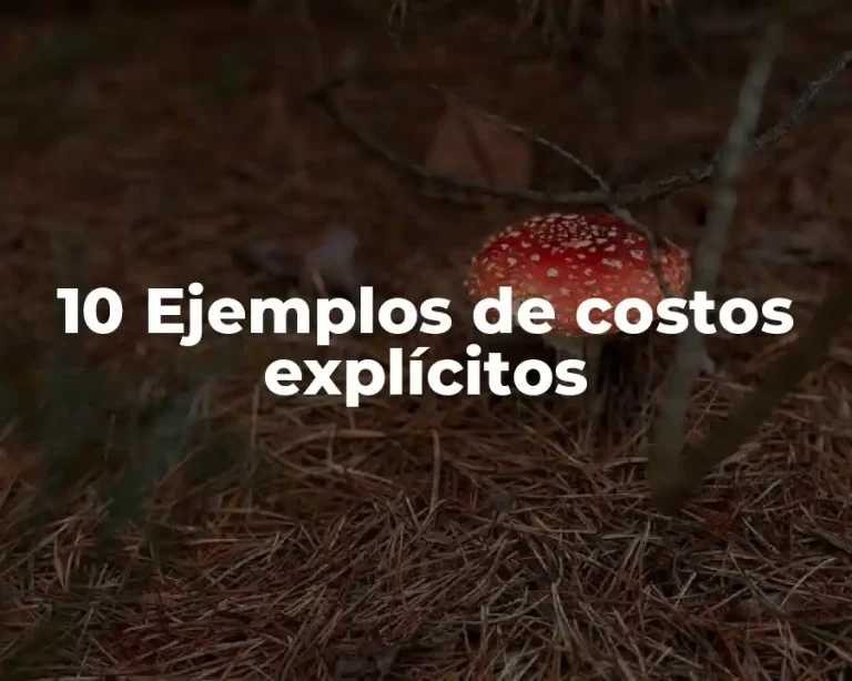 10 Ejemplos de costos explícitos