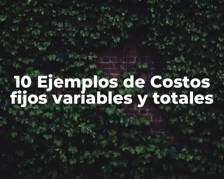 10 Ejemplos de Costos fijos variables y totales