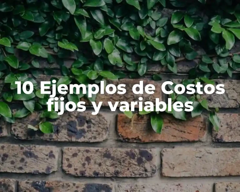 10 Ejemplos de Costos fijos y variables