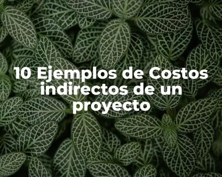 10 Ejemplos de Costos indirectos de un proyecto