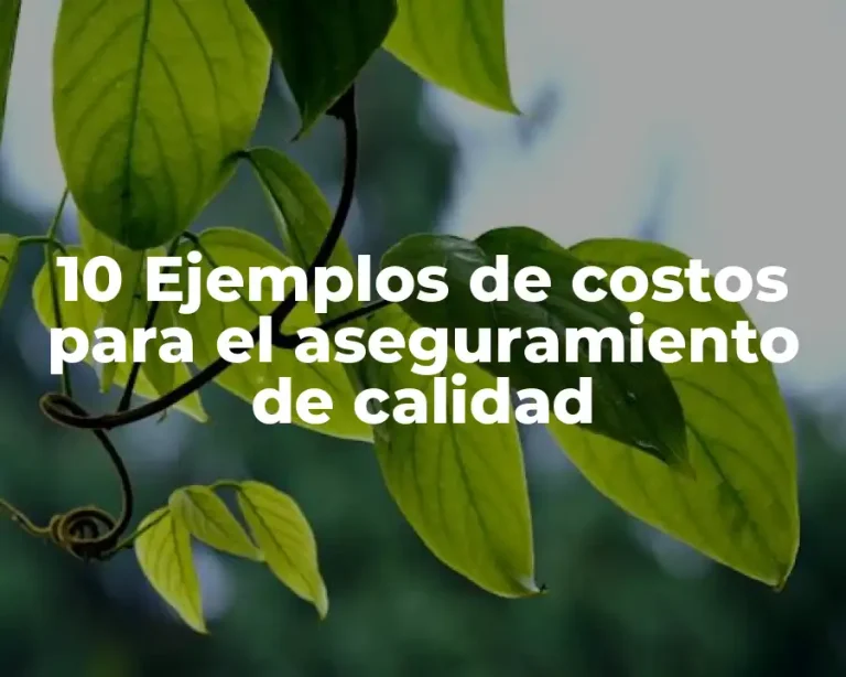10 Ejemplos de costos para el aseguramiento de calidad