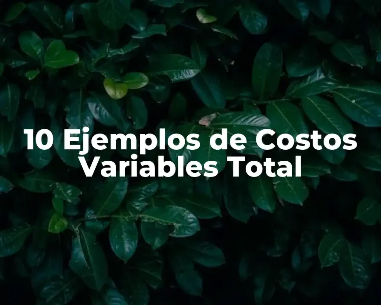 10 Ejemplos de Costos Variables Total