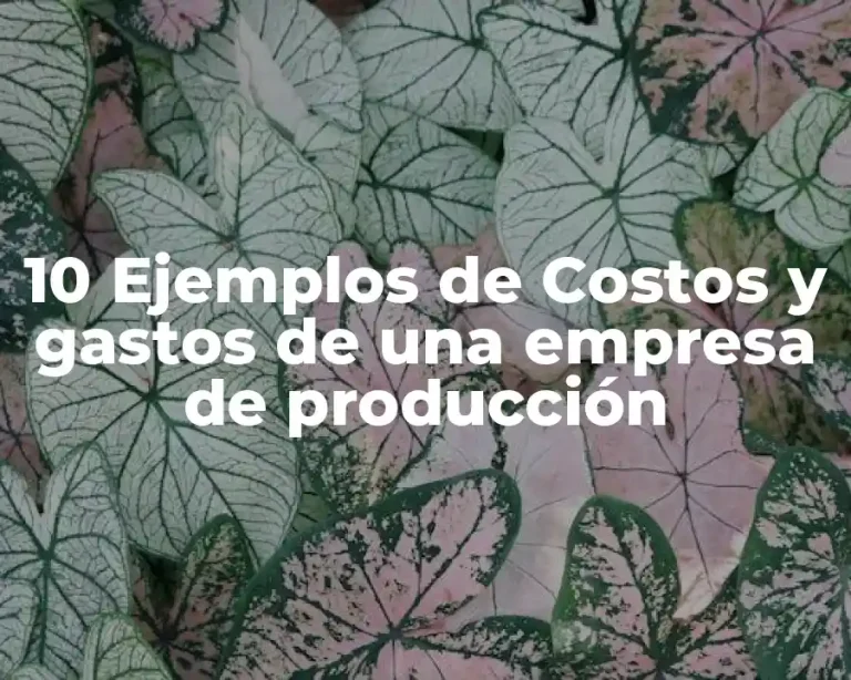 10 Ejemplos de Costos y gastos de una empresa de producción