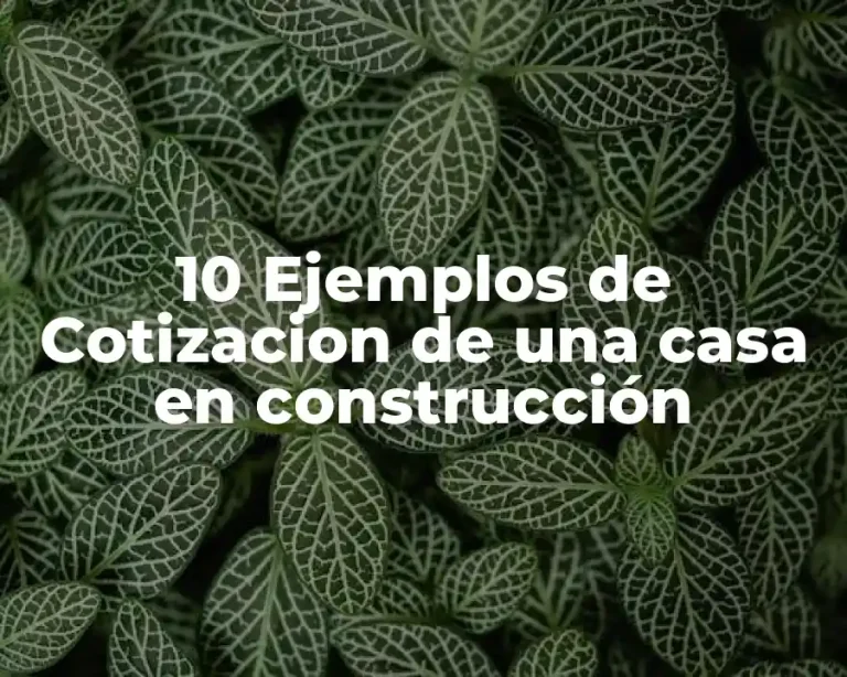 10 Ejemplos de Cotizacion de una casa en construcción