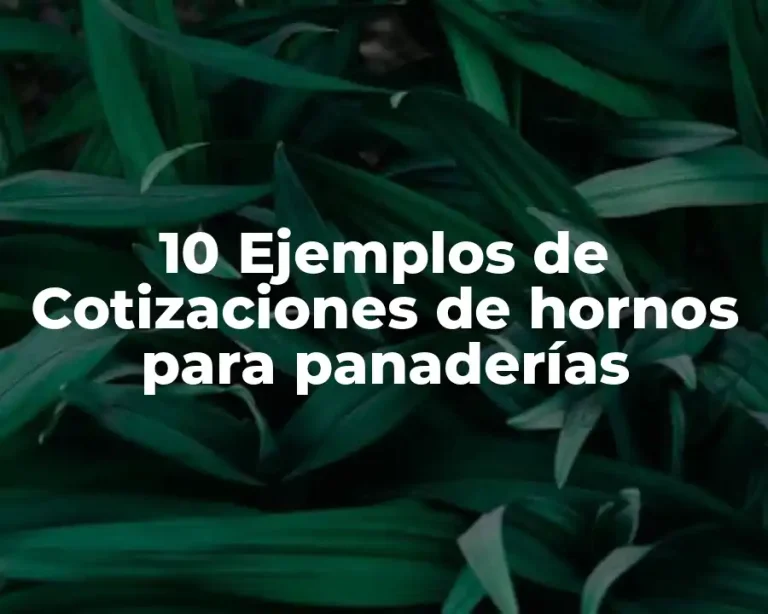 10 Ejemplos de Cotizaciones de hornos para panaderías