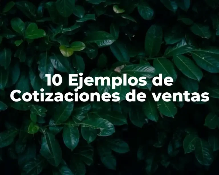 10 Ejemplos de Cotizaciones de ventas