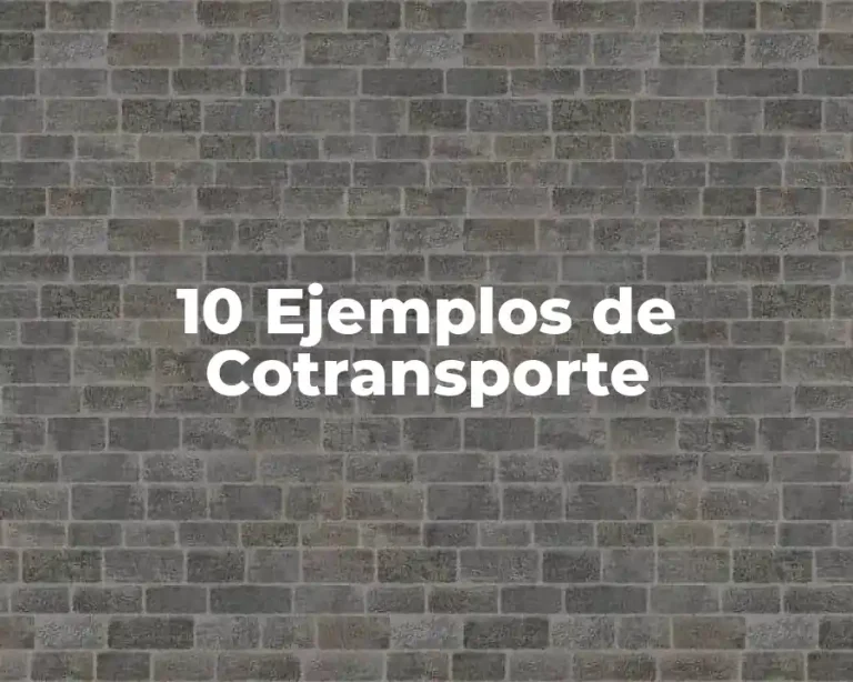 10 Ejemplos de Cotransporte