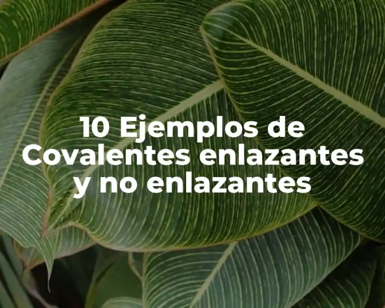 10 Ejemplos de Covalentes enlazantes y no enlazantes