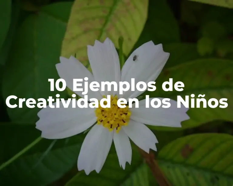 10 Ejemplos de Creatividad en los Niños