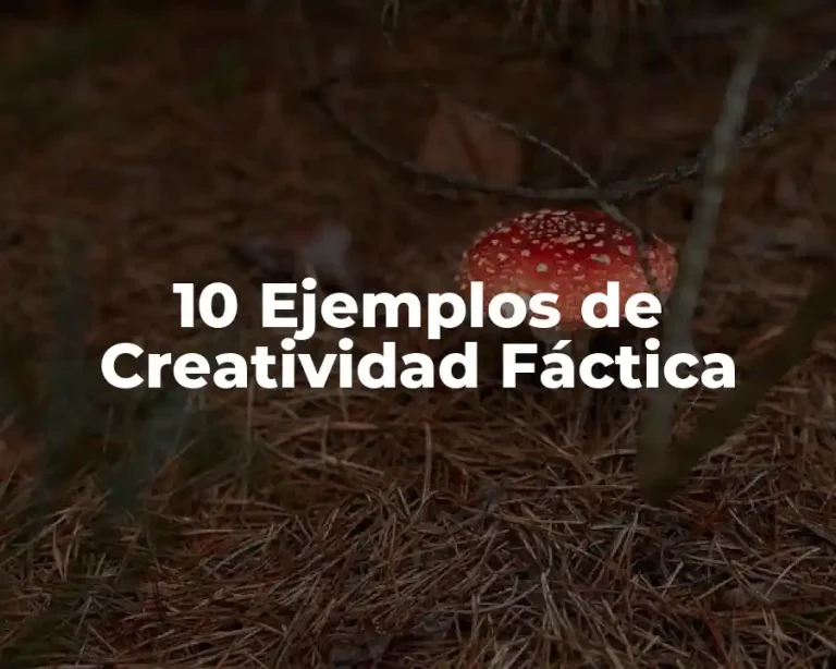 10 Ejemplos de Creatividad Fáctica