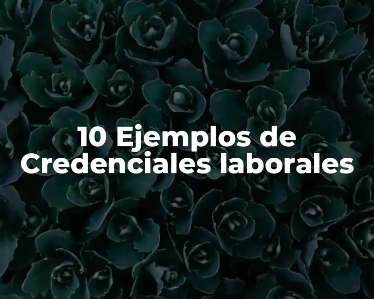 10 Ejemplos de Credenciales laborales