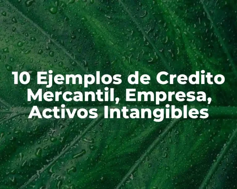 10 Ejemplos de Credito Mercantil, Empresa, Activos Intangibles