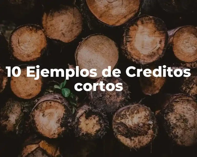 10 Ejemplos de Creditos cortos