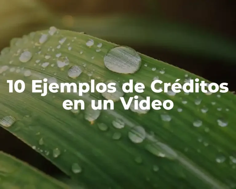 10 Ejemplos de Créditos en un Video