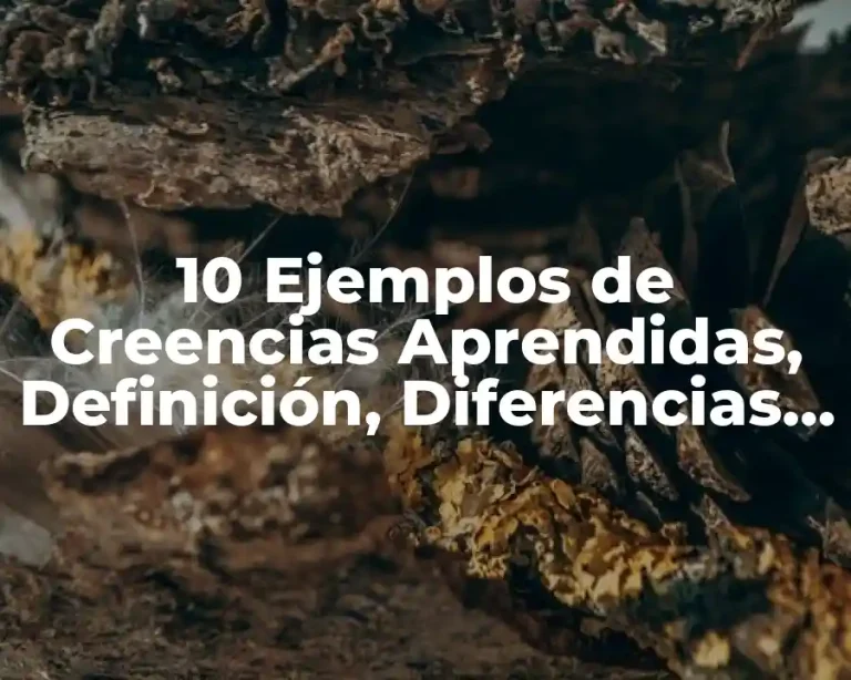 10 Ejemplos de Creencias Aprendidas, Definición, Diferencias y para que sirve