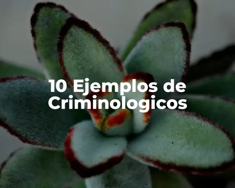 10 Ejemplos de Criminologicos