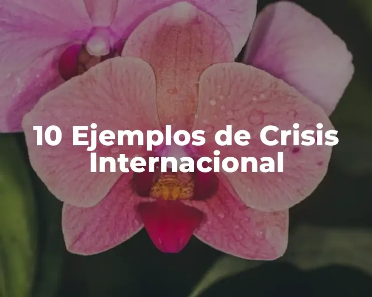 10 Ejemplos de Crisis Internacional