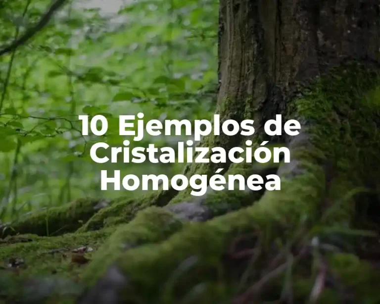 10 Ejemplos de Cristalización Homogénea