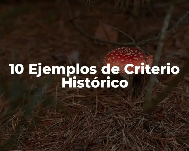 10 Ejemplos de Criterio Histórico