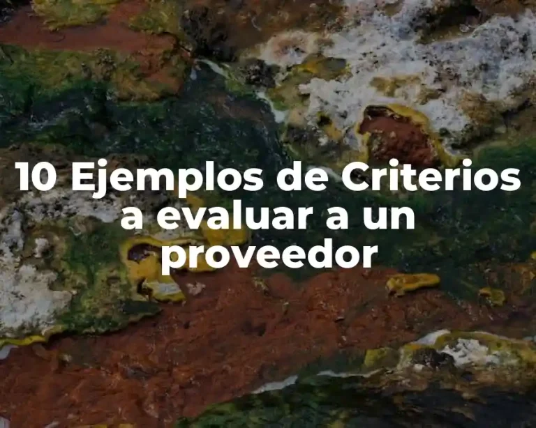 10 Ejemplos de Criterios a evaluar a un proveedor
