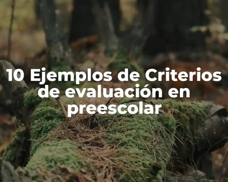 10 Ejemplos de Criterios de evaluación en preescolar