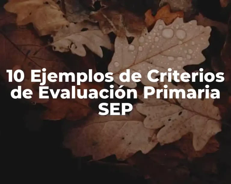 10 Ejemplos de Criterios de Evaluación Primaria SEP