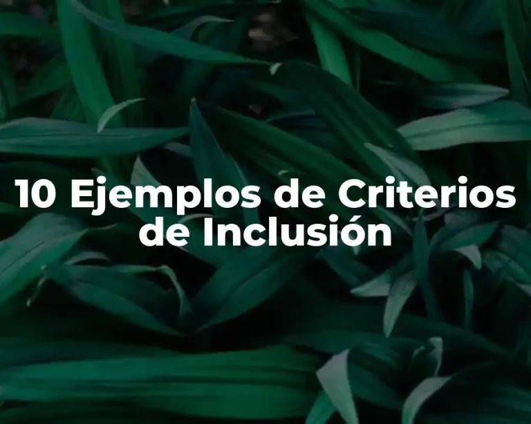 10 Ejemplos de Criterios de Inclusión