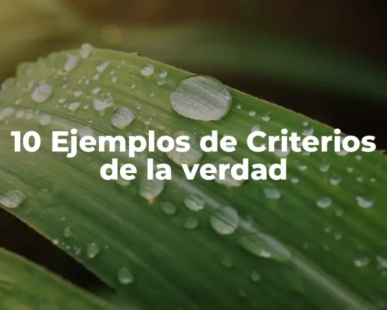 10 Ejemplos de Criterios de la verdad