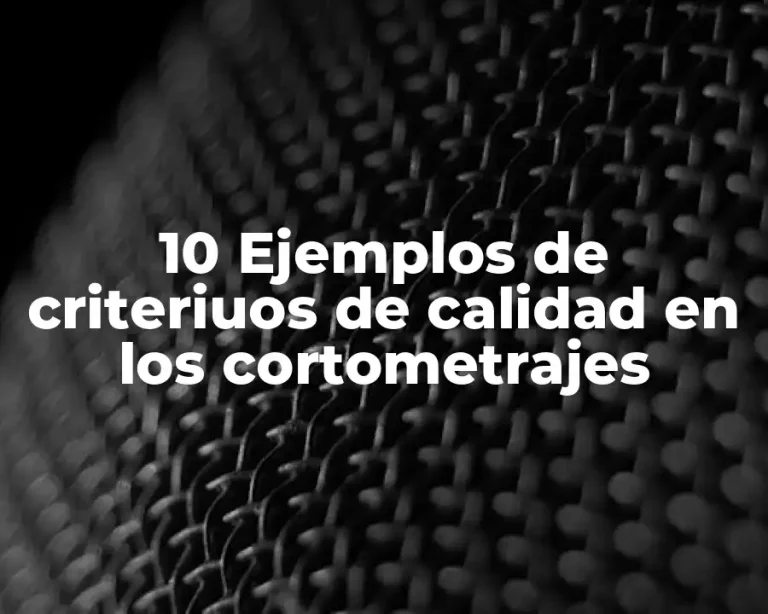 10 Ejemplos de criteriuos de calidad en los cortometrajes