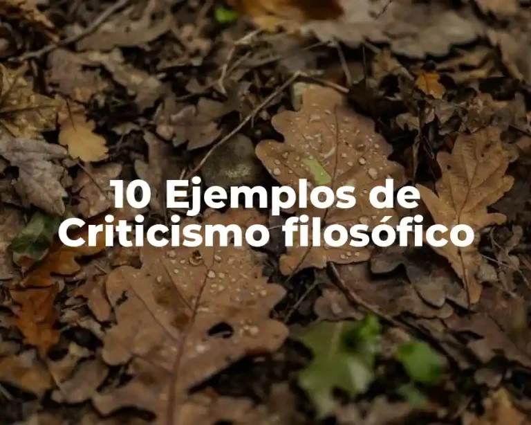 10 Ejemplos de Criticismo filosófico