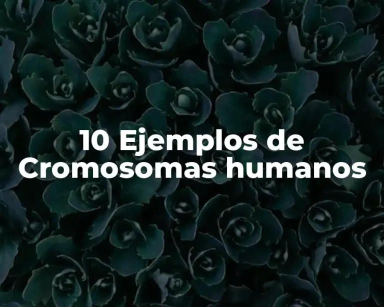 10 Ejemplos de Cromosomas humanos