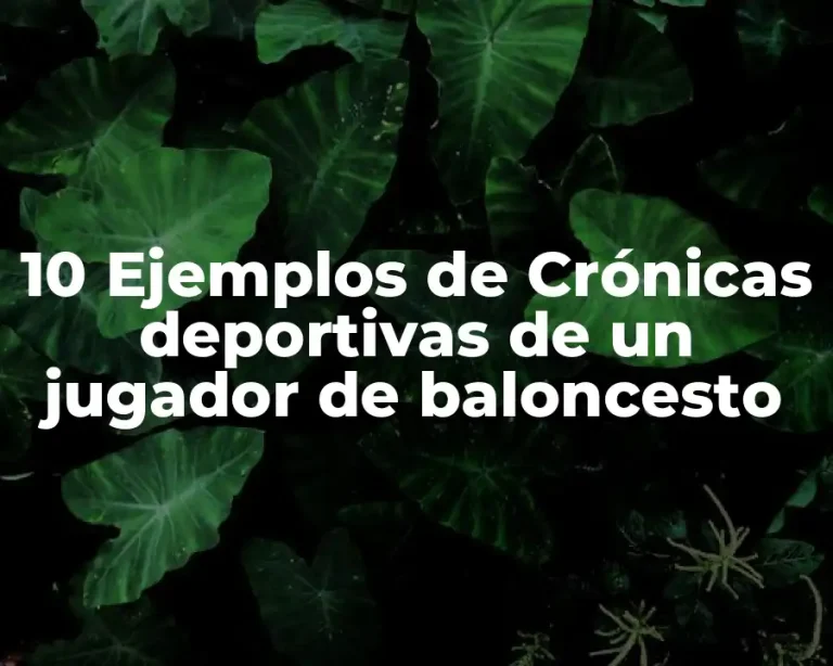 10 Ejemplos de Crónicas deportivas de un jugador de baloncesto