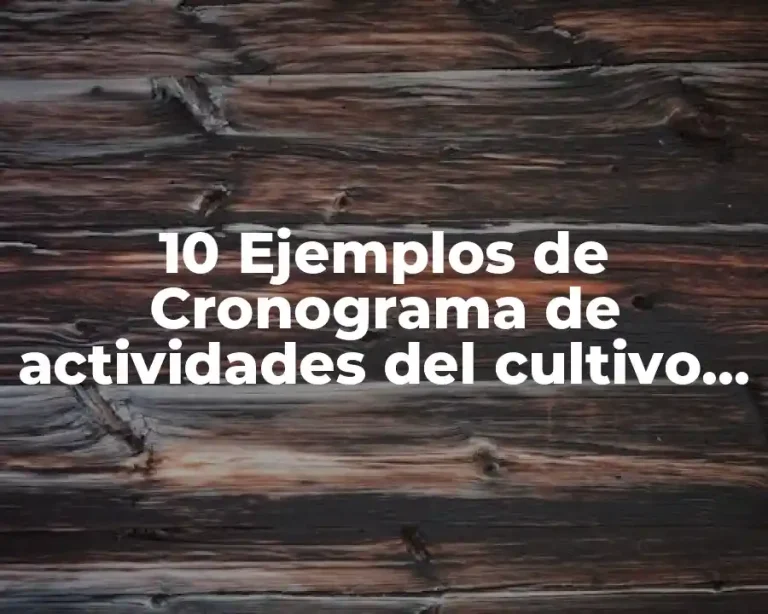 10 Ejemplos de Cronograma de actividades del cultivo del maíz