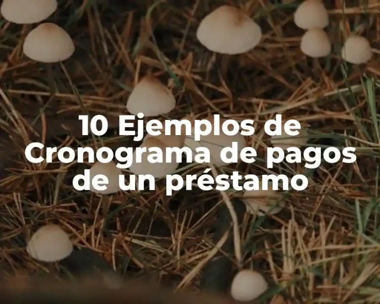 10 Ejemplos de Cronograma de pagos de un préstamo