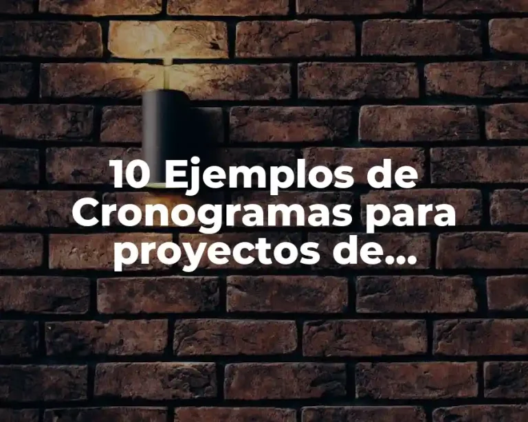 10 Ejemplos de Cronogramas para proyectos de investigación