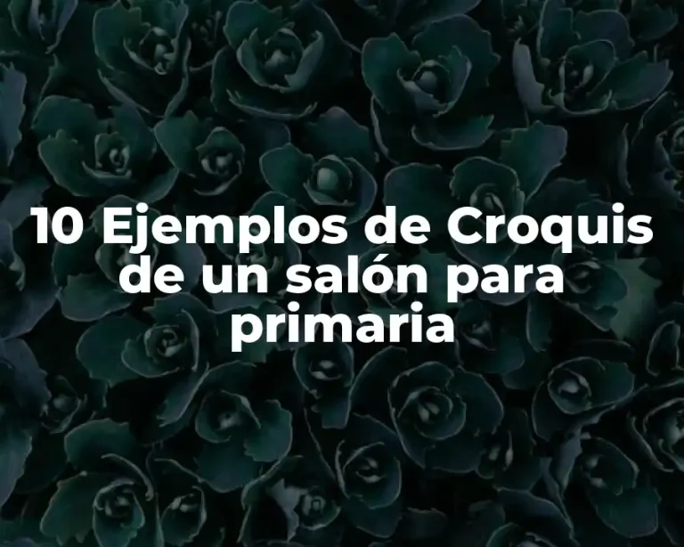 10 Ejemplos de Croquis de un salón para primaria