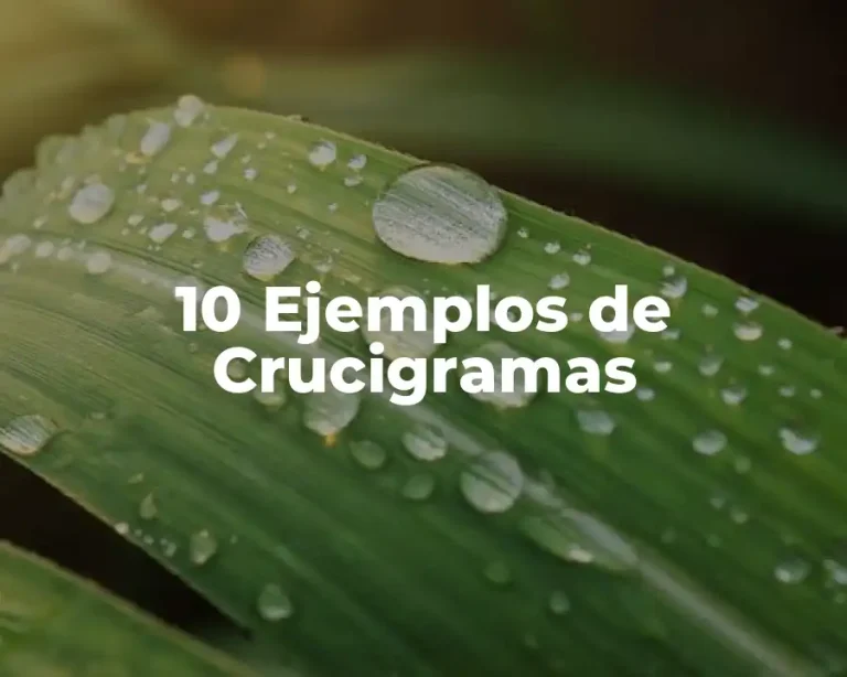 10 Ejemplos de Crucigramas