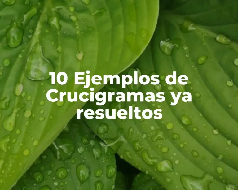 10 Ejemplos de Crucigramas ya resueltos