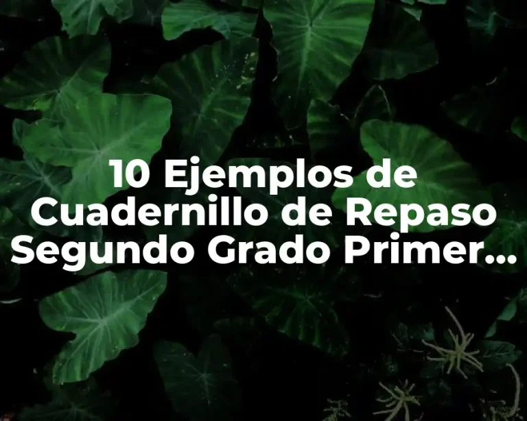 10 Ejemplos de Cuadernillo de Repaso Segundo Grado Primer Trimestre